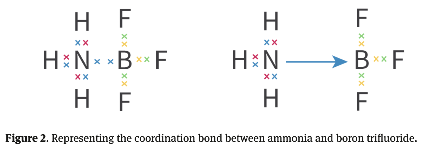 <p>Arrow in a coordination bond points from:</p>