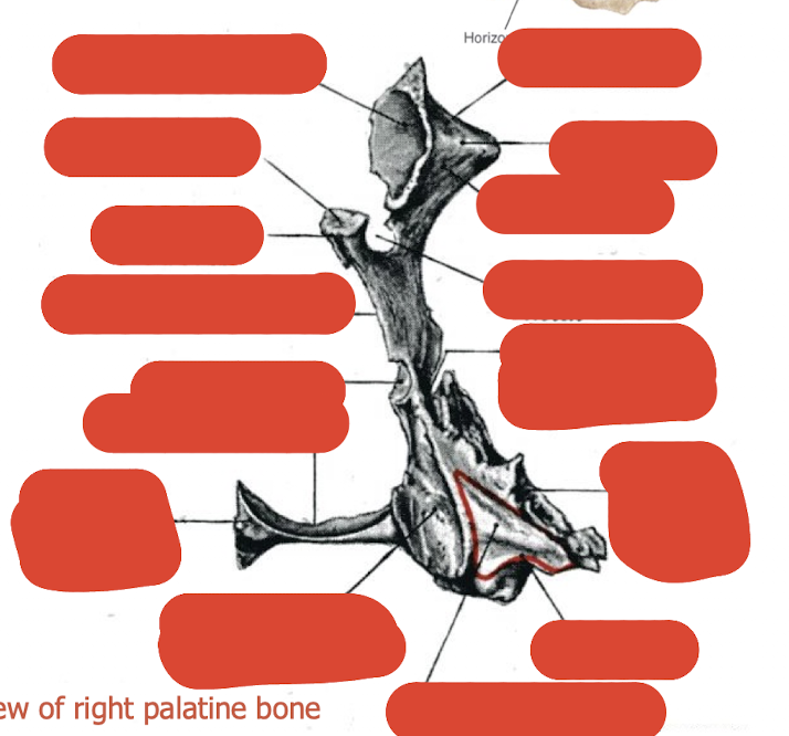 <p>label this diagram </p>