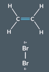 <p><span>When the bromine molecule approaches the electron dense C=C bond, momentary partial charges occur, allowing bromine to act as an electrophile.</span></p><p></p><p><span>Can be explained by Van der Waals&nbsp;</span></p><p><br>The movement of electrons cause a temporary imbalance in charge with one side being partially positive and one side being partially negative. Temporary dipole can induce dipoles in nearby molecules. This causes an electrostatic attraction between partially positive side of one molecule and negative side of another molecule.</p>