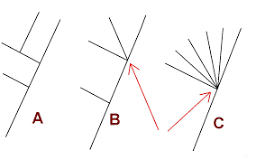 A node on a phylogeny where more than two lineages descend from a single ancestral lineage.