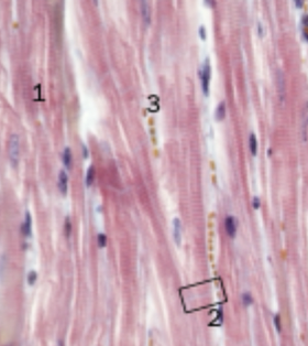 <p>What is this image?</p>