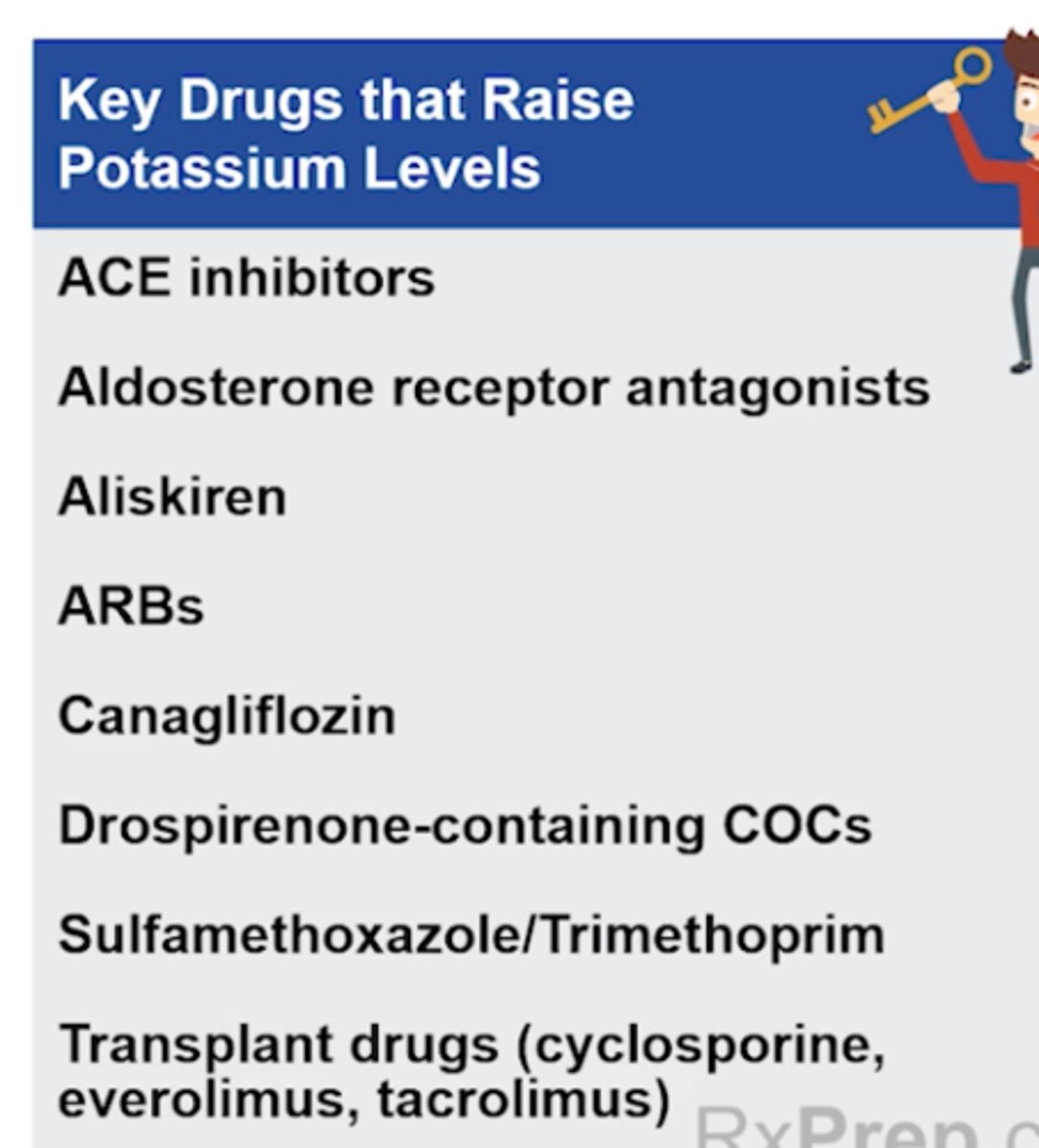 <p>RAAS</p><p>+ ACE inhibitors/ARBS</p><p>+ Aldosterone receptor antagonists (aldosterone, eplerenone)</p><p>+ Aliskiren (direct renin inhibitor)</p><p>+ Canagliflozin (SGLT-2i - )</p><p>+ Drospirenone-containing COCs (Yaz)</p><p>+ Sulfamethoxazole/ trimethoprim (Bactrim tx pneumocystis pneumonia) </p><p>+ Transplant drugs (cyclosporine, everolimus, tacrolimus)</p>