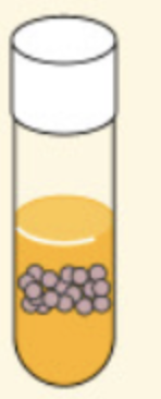 <p><span>organisms that require a <u>low concentration of oxygen </u>(<strong>2% to 10%</strong>) for growth, but higher concentrations are <strong>inhibitory</strong></span></p><p><span>-obtain their energy through <strong>aerobic respiration</strong></span></p><p><span><strong>*Produce lethal amounts of toxic forms of oxygen if exposed to normal atmospheric oxygen</strong></span></p><p><strong>Ex: Borrelia burgdorferi</strong></p>