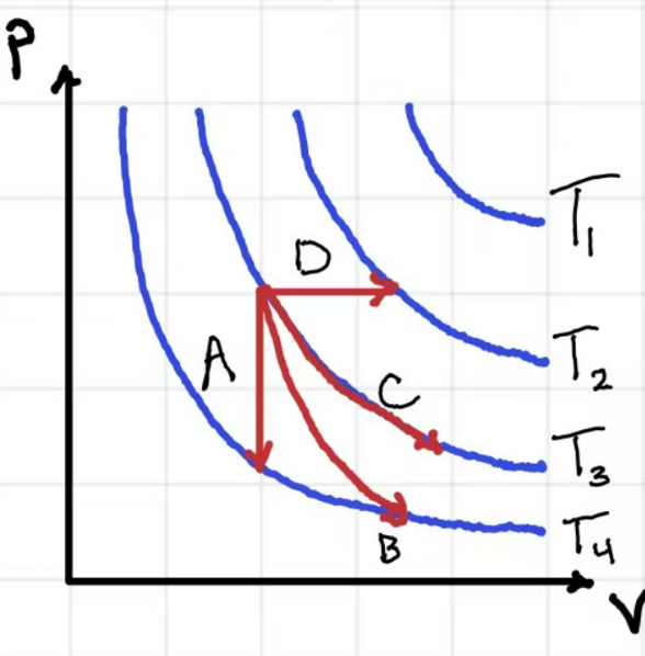 <p>According to the graph attached, Process D is...</p><p>Adiabatic</p><p>Isochoric</p><p>Isobaric</p><p>Isothermal</p>
