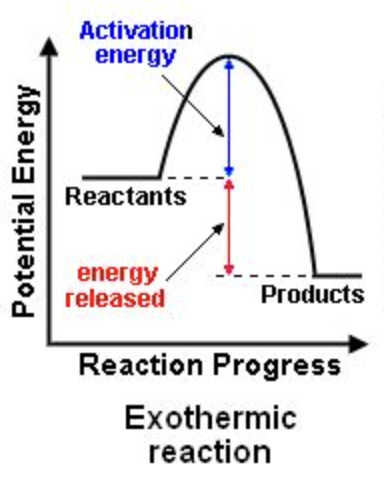 <p>Exothermic</p>