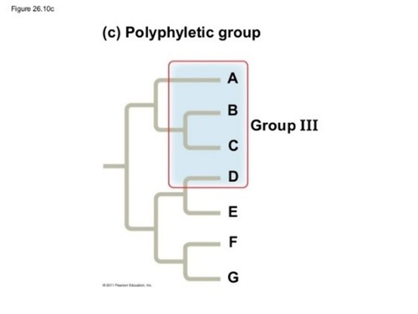 <p>Shares similar traits but does not include the most recent common ancestor</p>
