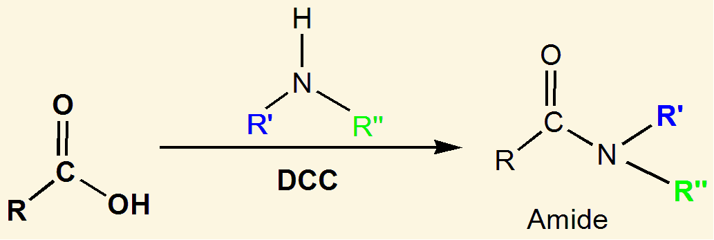 <p>amine or ammonia </p>
