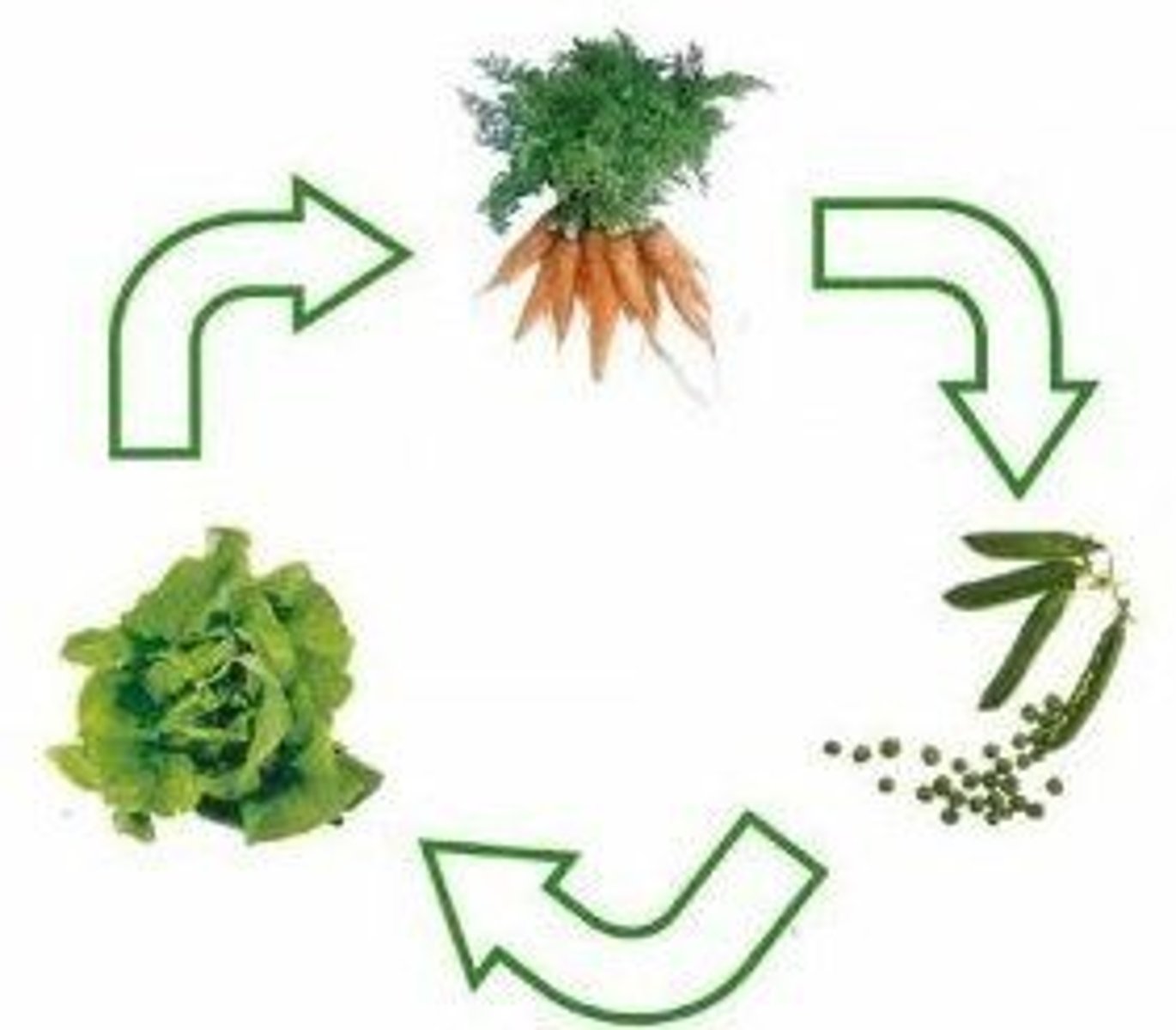 <p>temporarily rotating types crops to limit the depletion of soil nutrients</p>