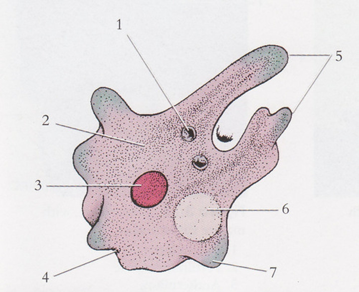 <p>Label 1, 3, and 5 in order.</p>