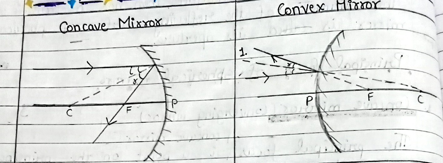 <p>A ray parallel to the principal axis, after reflection, will pass through the principal focus in the case of a concave mirror or appear to diverge from the principal focus in the case of a convex mirror.</p>