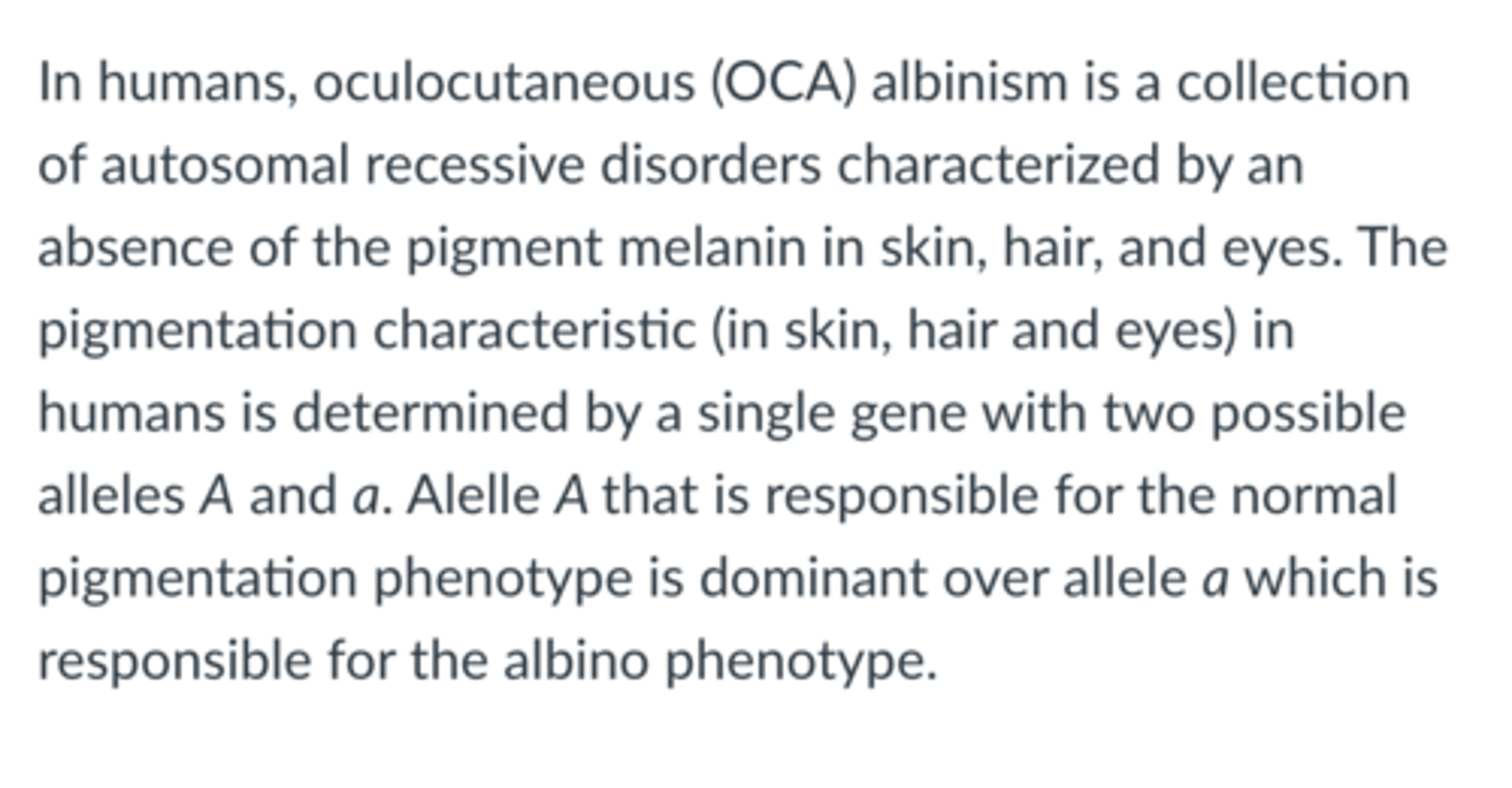 <p>If two individuals that have normal pigmentation mate, then what is a possible genotype in an offspring of this mating?</p>