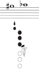 <p>Note name?</p>