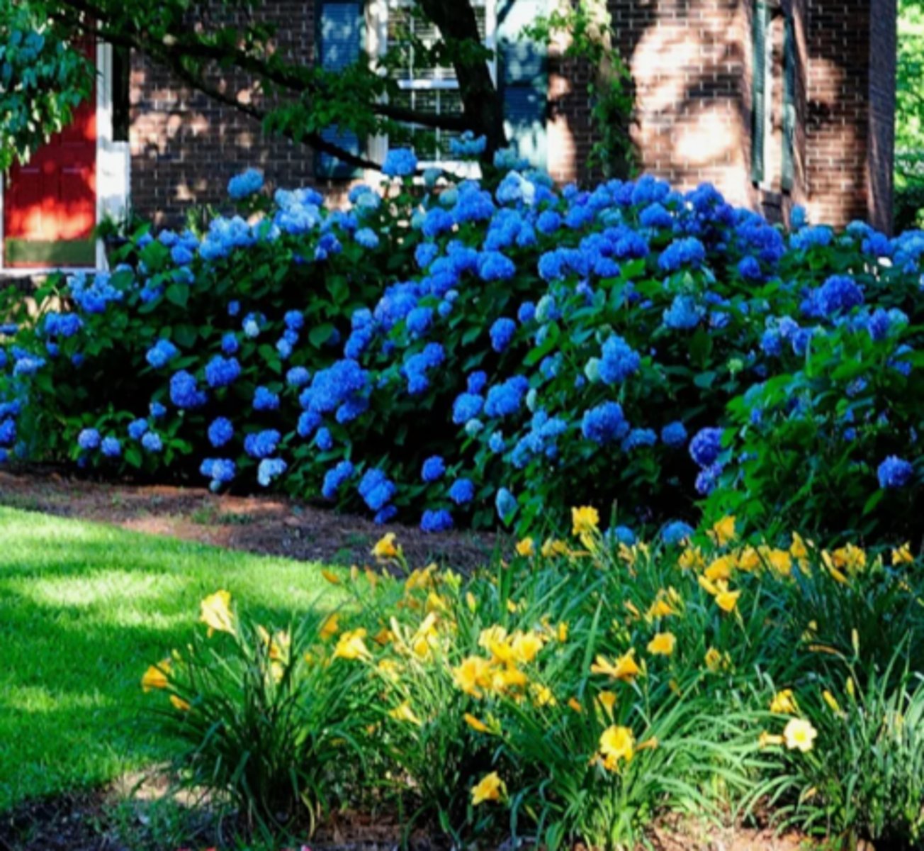 <p>plenty, too many</p>