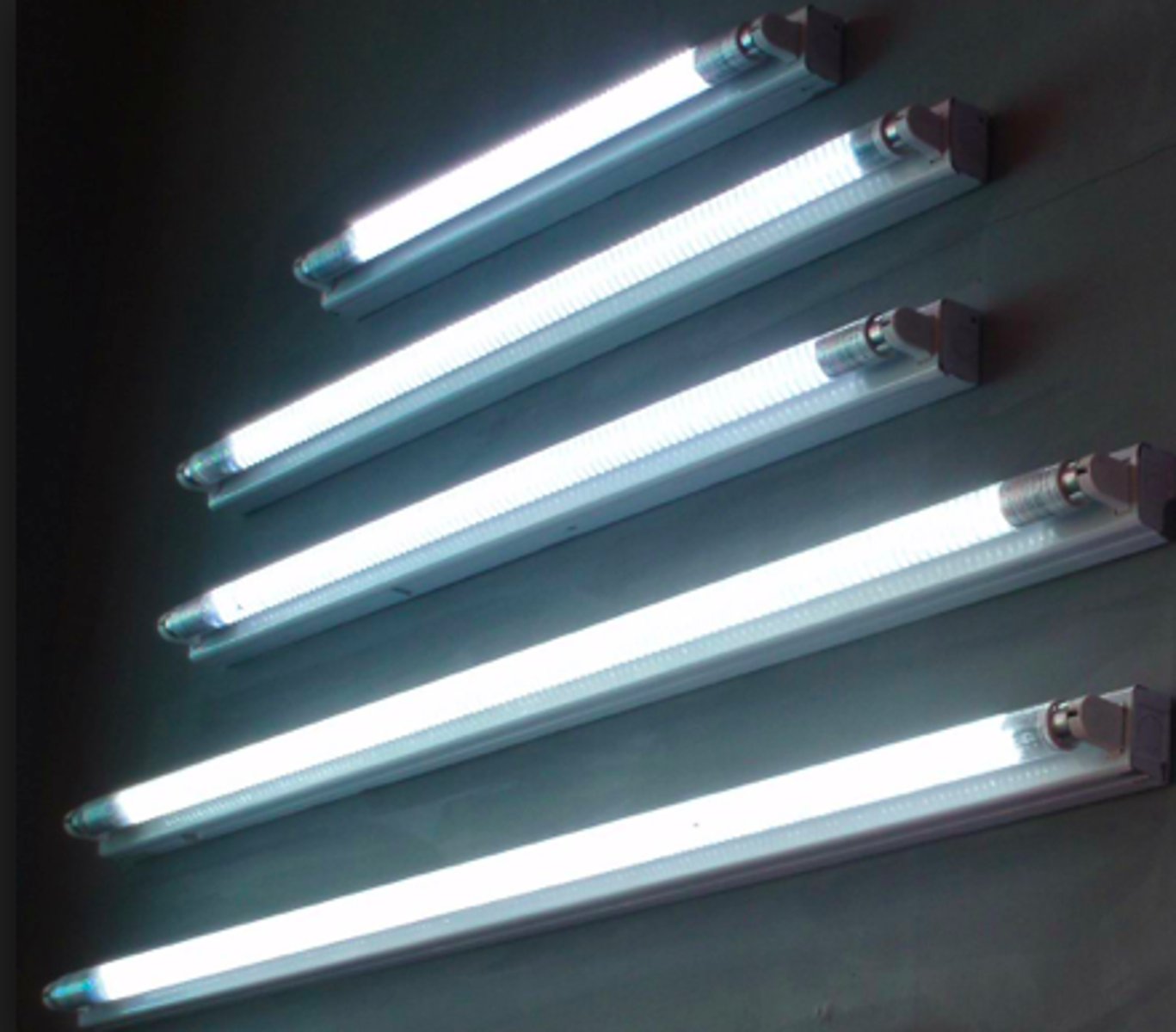 <p>Light generated by exciting mercury vapour via an electric current, which creates UV light. This UV light causes a phosphor coating inside the light bulb to produce visible light.</p>