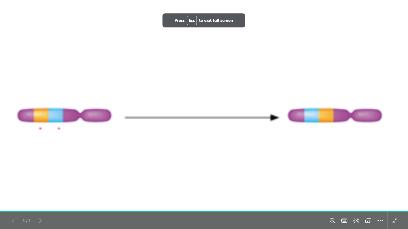 <p>what type of chromosomal abnormality is </p>