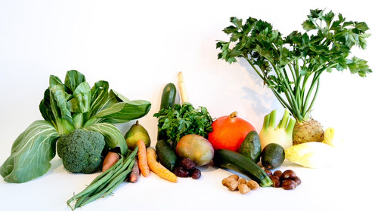 <p>vegetable</p>