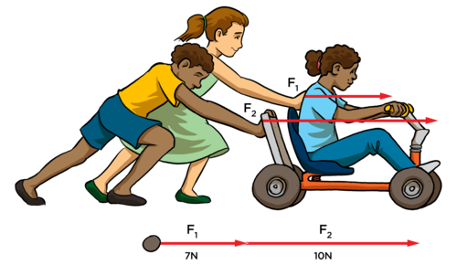 <p>A contact force is when force is applied between 2 objects in ____ contact.</p>