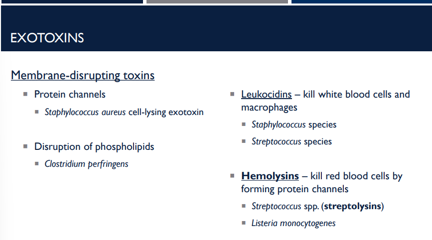 <p>What are hemolysins?</p>