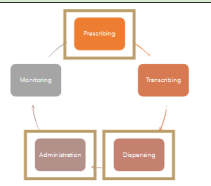 <ol><li><p>Prescribing</p></li><li><p>Transcribing</p></li><li><p>Dispensing</p></li><li><p>Administration</p></li><li><p>Monitoring</p></li></ol><p></p><p><span style="color: blue">Look at it as a cycle</span></p><p></p>