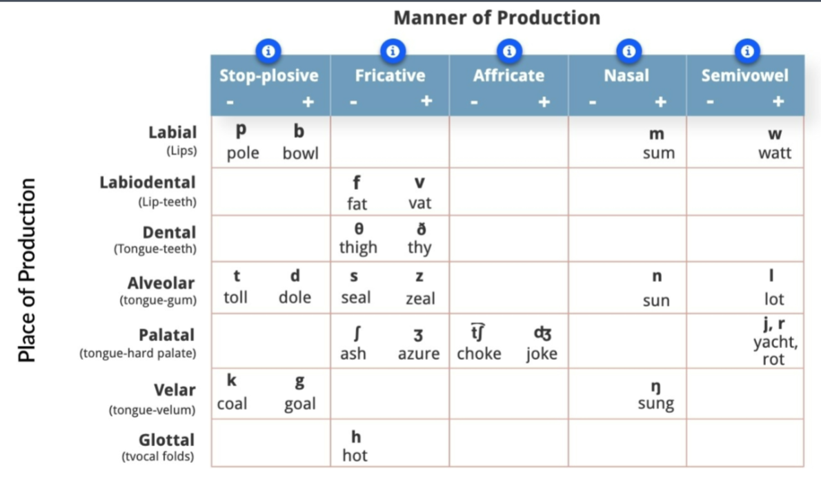 <p>Note: /r/ is Spanish trill, /<span><span>ɹ/ is English “r” sound</span></span></p>