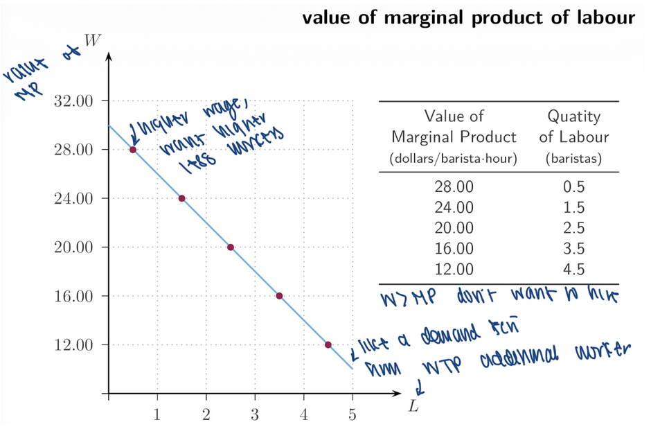 <p><span style="background-color: transparent; font-family: "Times New Roman", serif;"><strong><span>8. Labour Demand Curve &amp; Schedule</span></strong></span></p><table style="min-width: 50px;"><colgroup><col style="min-width: 25px;"><col style="min-width: 25px;"></colgroup><tbody><tr><td colspan="1" rowspan="1" style="vertical-align: top; padding: 5pt; overflow: hidden; overflow-wrap: break-word;"><p style="text-align: center;"><span style="background-color: transparent; font-family: "Times New Roman", serif;"><strong><span>Wage</span></strong></span></p></td><td colspan="1" rowspan="1" style="vertical-align: top; padding: 5pt; overflow: hidden; overflow-wrap: break-word;"><p style="text-align: center;"><span style="background-color: transparent; font-family: "Times New Roman", serif;"><strong><span>Quantity of Labour Demanded&nbsp;</span></strong></span></p></td></tr><tr><td colspan="1" rowspan="1" style="vertical-align: top; padding: 5pt; overflow: hidden; overflow-wrap: break-word;"><p><span style="background-color: transparent; font-family: "Times New Roman", serif;"><span>28</span></span></p></td><td colspan="1" rowspan="1" style="vertical-align: top; padding: 5pt; overflow: hidden; overflow-wrap: break-word;"><p><span style="background-color: transparent; font-family: "Times New Roman", serif;"><span>0.5</span></span></p></td></tr><tr><td colspan="1" rowspan="1" style="vertical-align: top; padding: 5pt; overflow: hidden; overflow-wrap: break-word;"><p><span style="background-color: transparent; font-family: "Times New Roman", serif;"><span>24</span></span></p></td><td colspan="1" rowspan="1" style="vertical-align: top; padding: 5pt; overflow: hidden; overflow-wrap: break-word;"><p><span style="background-color: transparent; font-family: "Times New Roman", serif;"><span>1.5</span></span></p></td></tr><tr><td colspan="1" rowspan="1" style="vertical-align: top; padding: 5pt; overflow: hidden; overflow-wrap: break-word;"><p><span style="background-color: transparent; font-family: "Times New Roman", serif;"><span>20</span></span></p></td><td colspan="1" rowspan="1" style="vertical-align: top; padding: 5pt; overflow: hidden; overflow-wrap: break-word;"><p><span style="background-color: transparent; font-family: "Times New Roman", serif;"><span>2.5</span></span></p></td></tr><tr><td colspan="1" rowspan="1" style="vertical-align: top; padding: 5pt; overflow: hidden; overflow-wrap: break-word;"><p><span style="background-color: transparent; font-family: "Times New Roman", serif;"><span>16</span></span></p></td><td colspan="1" rowspan="1" style="vertical-align: top; padding: 5pt; overflow: hidden; overflow-wrap: break-word;"><p><span style="background-color: transparent; font-family: "Times New Roman", serif;"><span>3.5</span></span></p></td></tr><tr><td colspan="1" rowspan="1" style="vertical-align: top; padding: 5pt; overflow: hidden; overflow-wrap: break-word;"><p><span style="background-color: transparent; font-family: "Times New Roman", serif;"><span>12</span></span></p></td><td colspan="1" rowspan="1" style="vertical-align: top; padding: 5pt; overflow: hidden; overflow-wrap: break-word;"><p><span style="background-color: transparent; font-family: "Times New Roman", serif;"><span>4.5</span></span></p></td></tr></tbody></table><p><span style="font-family: "Times New Roman", serif;"><span>Lower wage → more labour __</span></span><span style="background-color: transparent; font-family: "Times New Roman", serif;"><span><br>Higher wage → less labour demanded</span></span></p>
