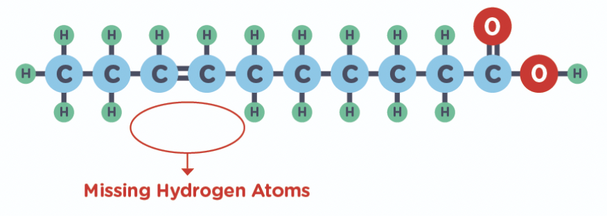 some C have no H but instead a double bond