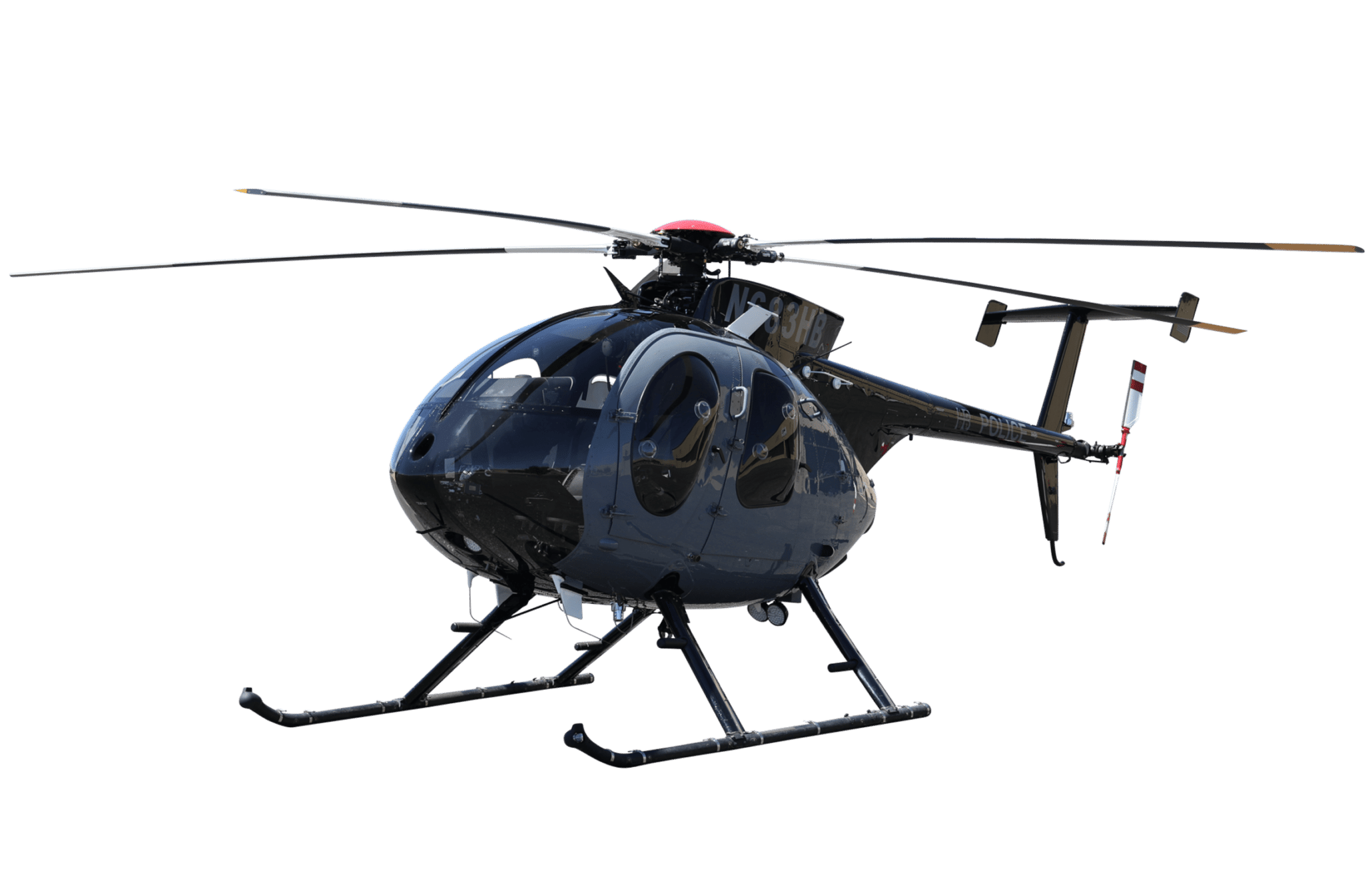 <p><span>mosquito, everything out</span></p>