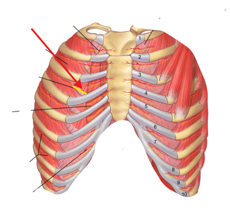 <p>What is this structure?</p>