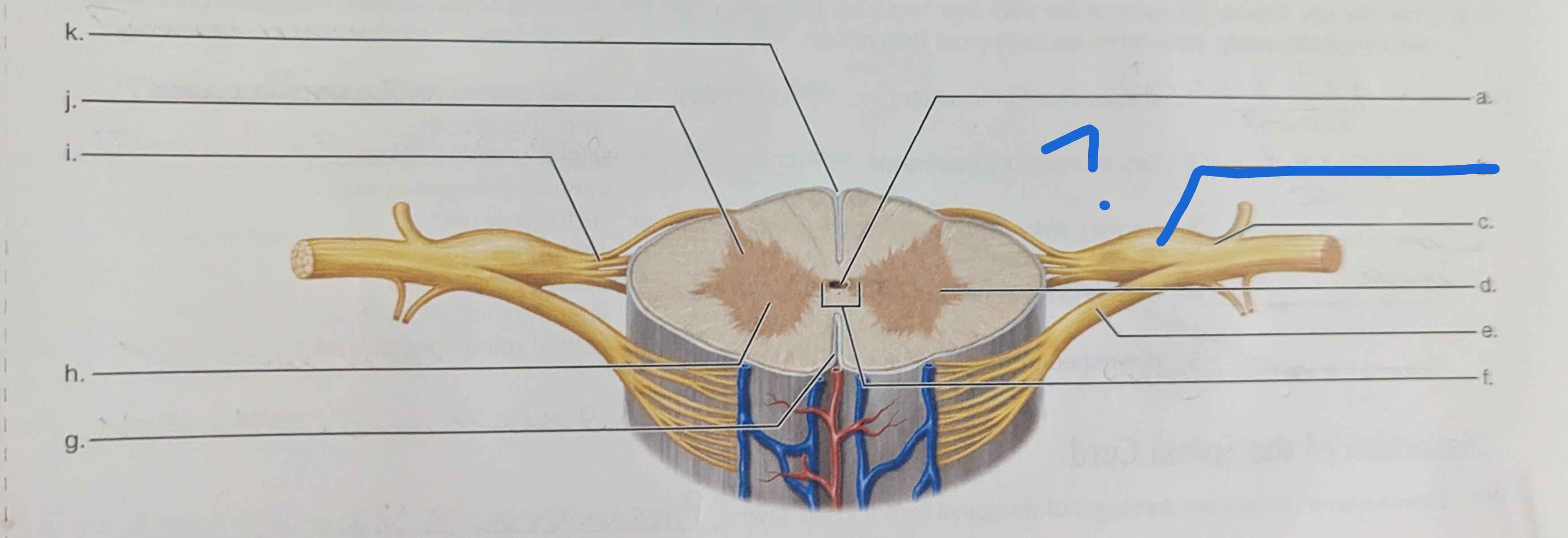 <p>What is the name of this?</p>