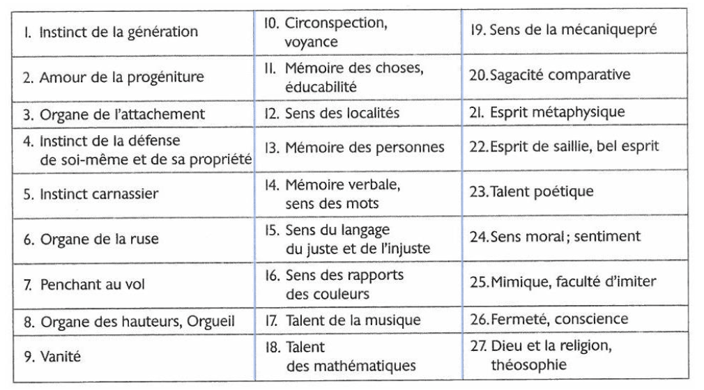 <ul><li><p><span>27 organes et facultés primordiales répartis en 3 groupes:</span></p><ol><li><p><span>les fonctions appétitives (= instinctives) situées en arrière et à la base du crâne</span></p></li><li><p><span>les fonctions intellectuelles inférieures situées situé à la moitié inférieure des lobes frontaux</span></p><p>→ lié à l’intelligence </p></li><li><p><span>les facultés intellectuelles supérieures situées à la moitié supérieure des lobes frontaux</span></p><p>→ morale, idée de Dieu </p></li></ol><p>→ lié à la phinogénèse </p></li></ul><p></p>