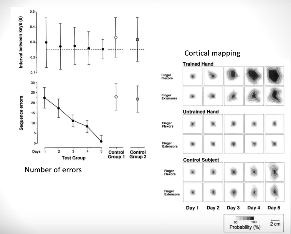 <p><strong><u>***describe mechanisms related to functional modular plasticity, including homologous area adaptation, cross-modal reassignment, map expansion, and compensatory masquerade</u></strong></p>