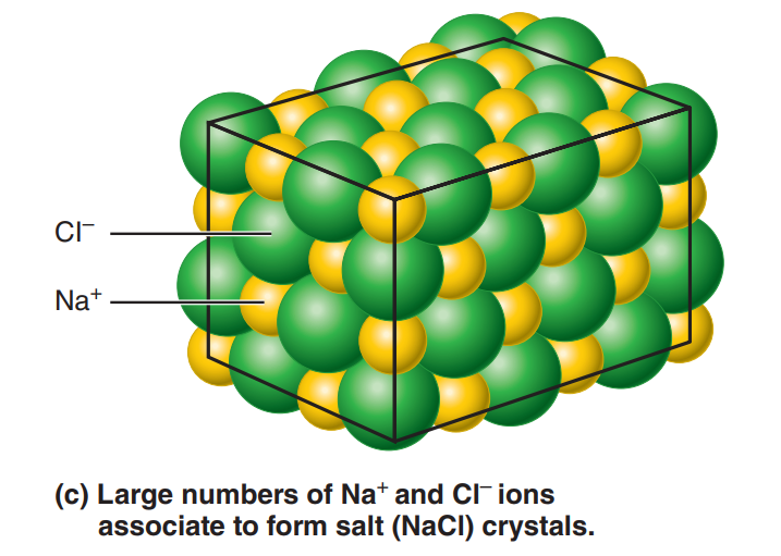 Formation of an ionic bond. (C) | © Marieb & Hoehn's Human Anatomy & Physiology