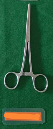 term image