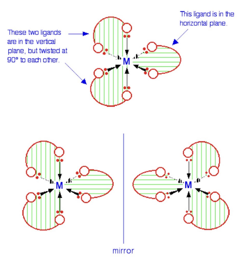 <p>they form 2 isomers that are mirror images of one another + exhibit all the characteristics associated with optical isomers </p>