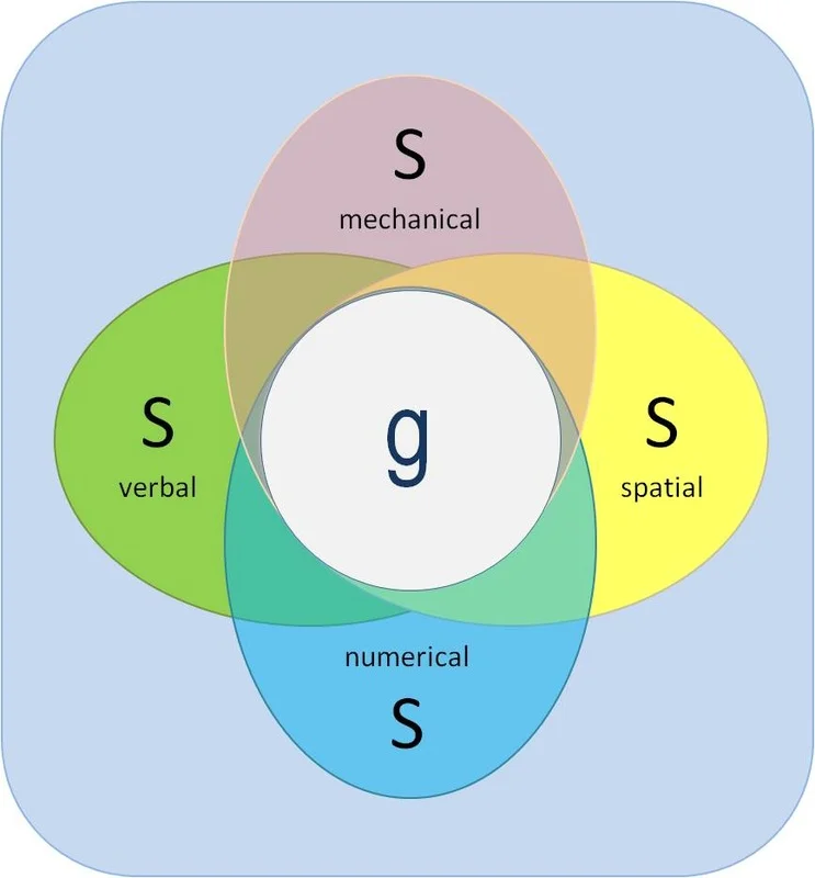 <p>Textbook: A general intelligence factor that, according to Spearman and others, underlies specific mental abilities and is therefore measured by every task on an intelligence test.<br>Mine: More than one specific factor for people’s perofrmance on IQ test</p><p>Retrieval Cues:</p>