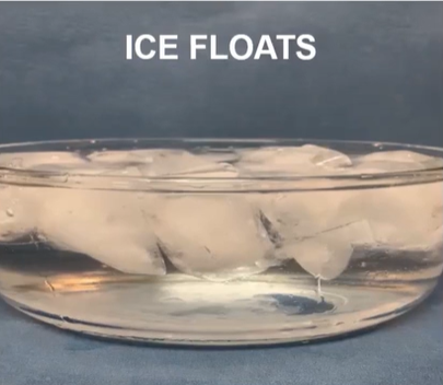 <p>Because aquatic organisms are still able to live in water in freezing climates because the water will freeze on the surface, leaving liquid water underneath for those organisms to still thrive.</p>