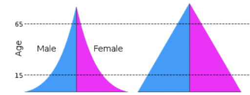 <ul><li><p>Population pyramids indicating high birth rate and high death rates</p></li></ul><p></p>
