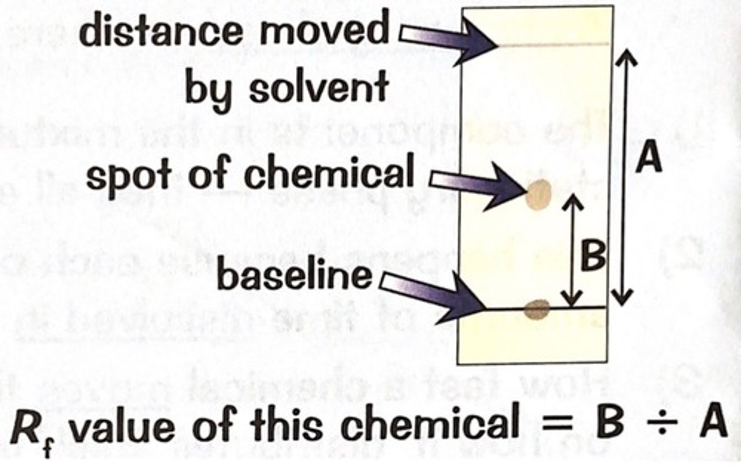 <p>The results of separating mixtures by chromatography</p>