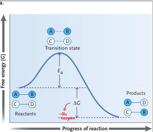 Activation Barrier