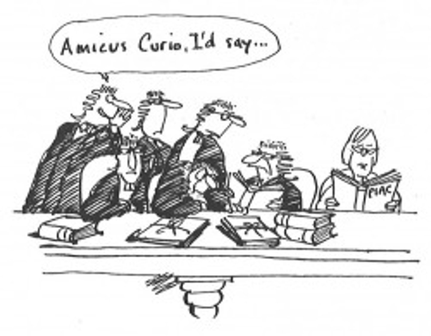 <p>Friend of the court; interested groups may be invited to file legal briefs supporting or rejecting arguments of the case.</p>