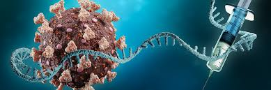 <p>mRNA vaccines introduce mRNA into our bodies, which produces viral proteins (antigens), which in this case, is the spike protein for Covid 19.<br></p>