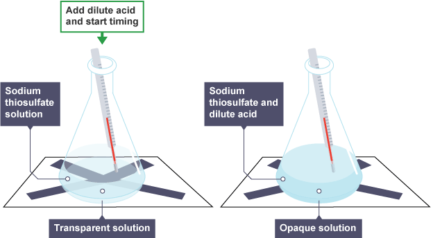 <ol><li><p>using a measuring cylinder, add 50 cm<sup>3</sup> of dilute sodium thiosulfate solution to a conical flask</p></li><li><p>place the conical flask on a piece of paper with a black cross drawn on it</p></li><li><p>using a different measuring cylinder, add 10 cm<sup>3</sup> of dilute hydrochloric acid to the conical flask. swirl the flask to mix its contents, and start a stop clock</p></li><li><p>look down through the reaction mixture. when the cross can no longer be seen, record the time on the stop clock</p></li><li><p>measure and record the temperature of the reaction mixture, and clean the apparatus as directed by a teacher</p></li><li><p>repeat steps 1 to 5 with different starting temperatures of sodium thiosulfate solution.</p></li></ol><p></p>
