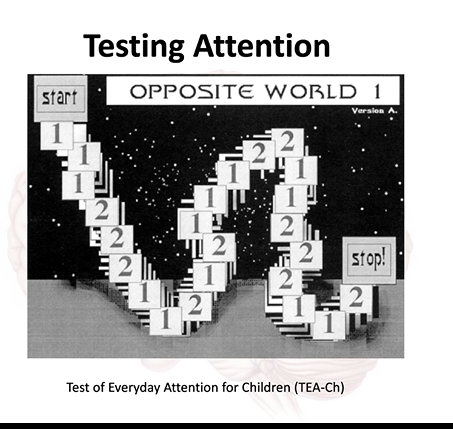 <p>read opposite number </p><p>tests if you have trauma that affects executive control for conflict</p>