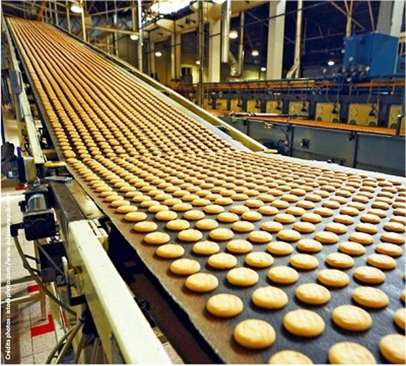 <p>food industry</p>