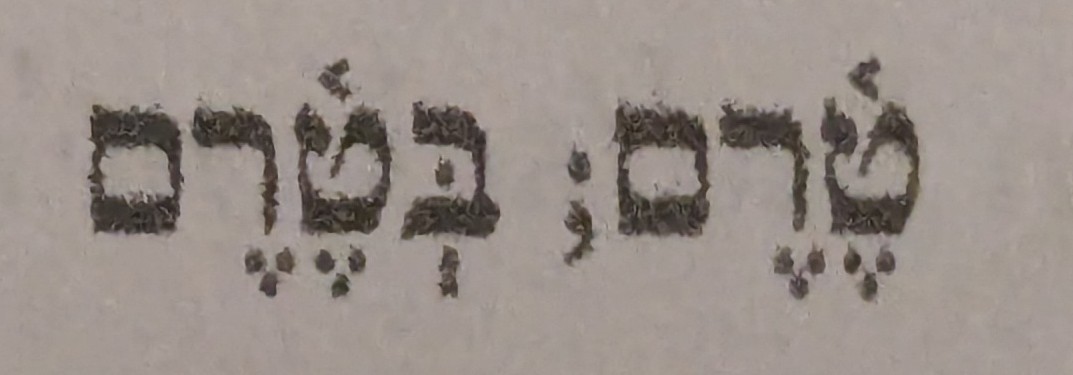 term image