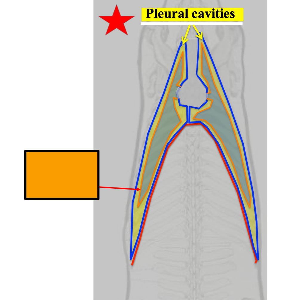 <p>What does the orange box refer to?</p>