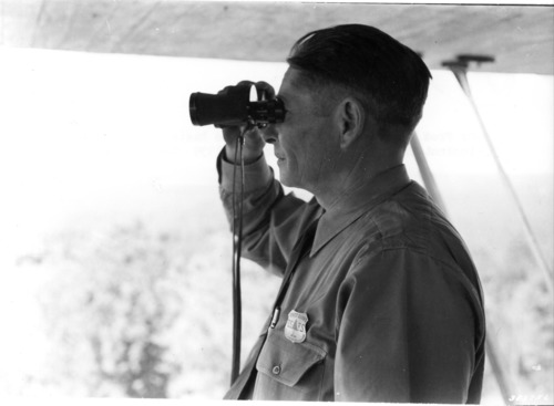 <p>Observer attentivement, souvent dans l'attente d'un événement. </p>