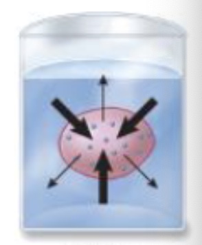 <p>High solute <strong><u>inside</u></strong> the cell. <u>Water will move into the cell</u> and solutes move out. This results in <u>cell swelling</u><br>(think: hypothermia → too much cold →hypotonic → too much inside cell)</p>
