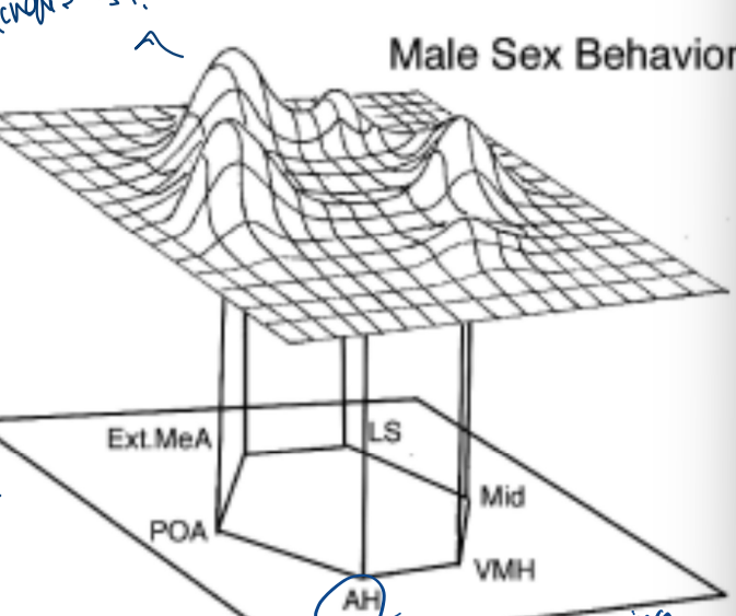 <p>what does this diagram show</p>