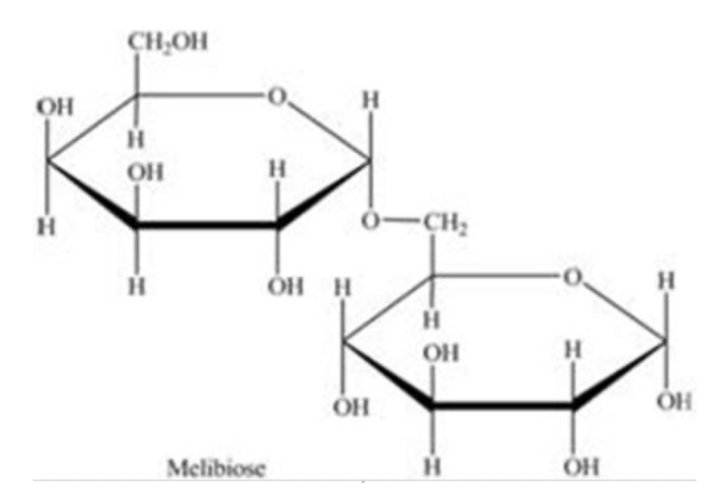 <p>Melibiose is a carbohydrate found in some plant juices. Which statement concerning melibiose is </p><ul><li><p> It contains both an acetal and a hemiacetal.</p></li><li><p> It contains an ⍺-(1→5) glycosidic linkage.</p></li><li><p>It is a disaccharide.</p></li><li><p>It is composed of two different monosaccharides.</p></li></ul><p></p>